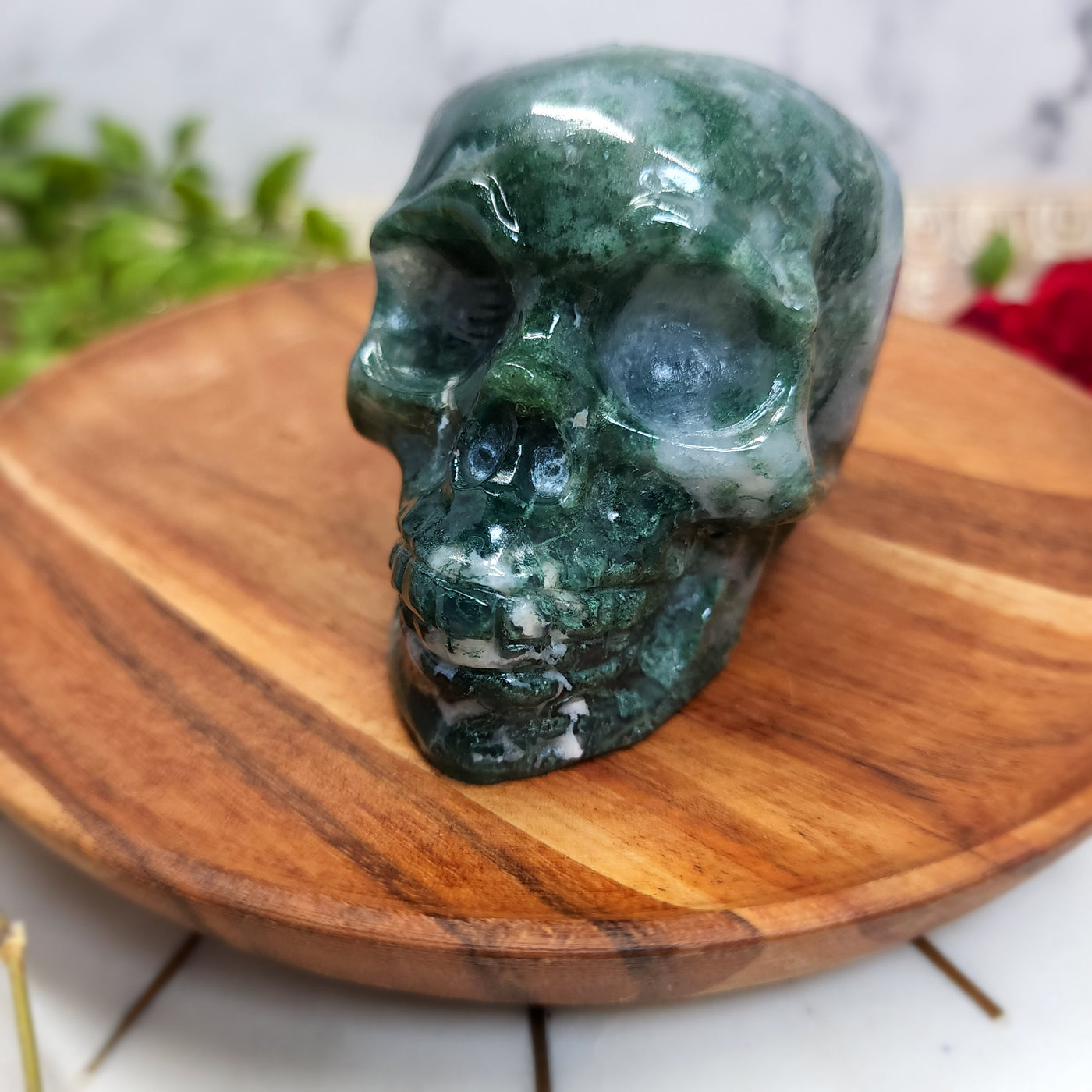 Druzy Moss Agate Skull