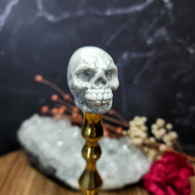Howlite Skull