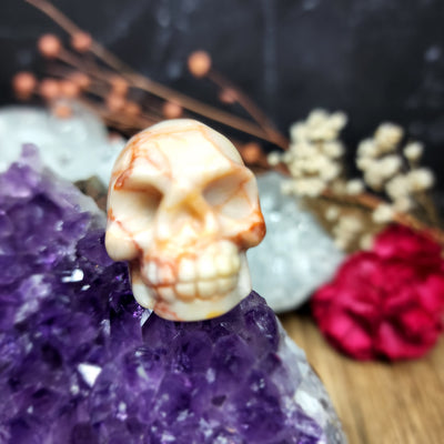 Red Vein Jasper Skull