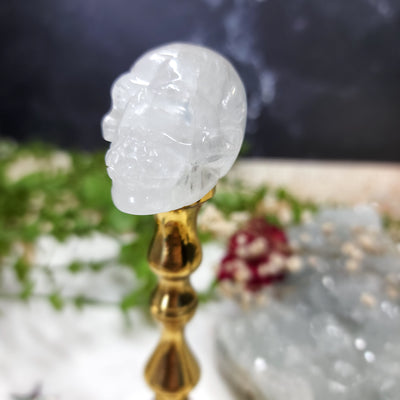 Clear Quartz Skull
