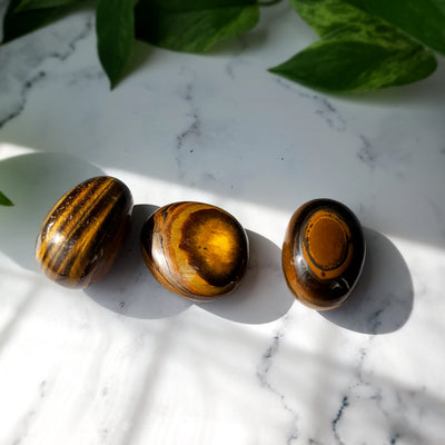 Tiger Eye Medium Palmstone
