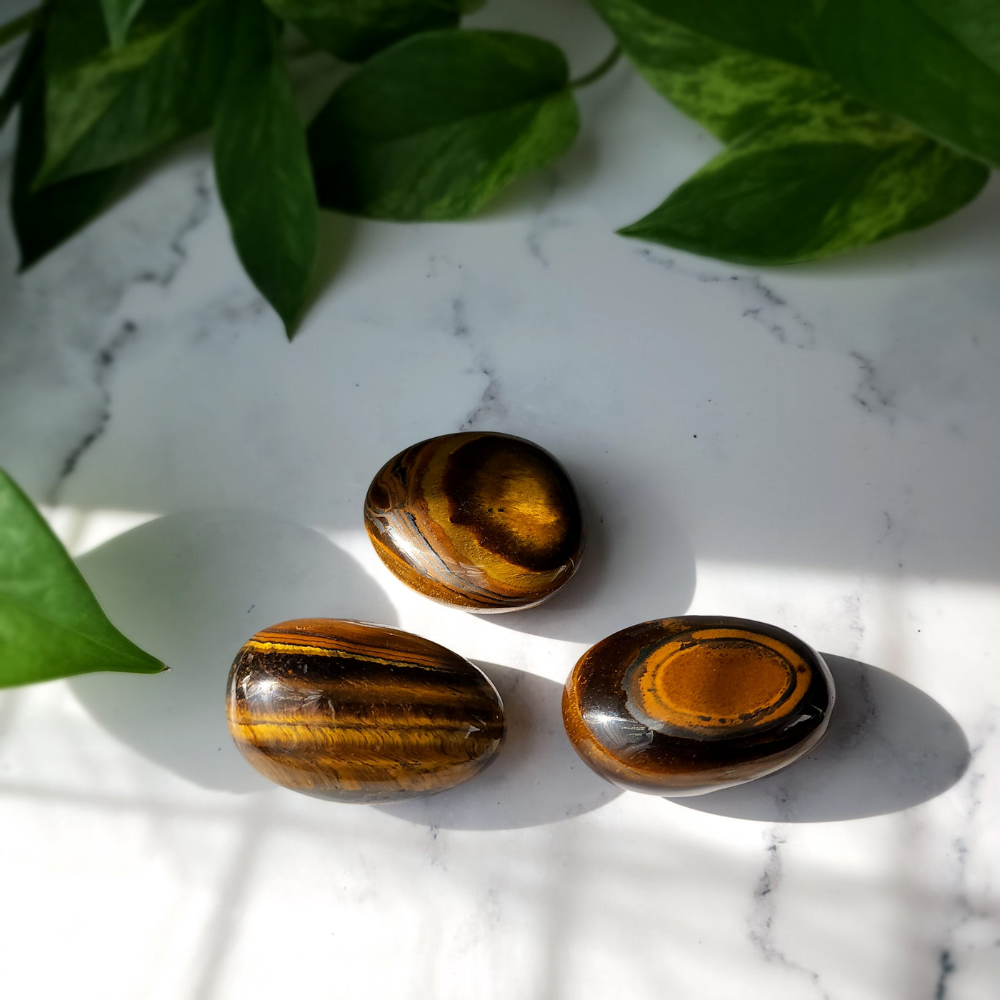 Tiger Eye Medium Palmstone