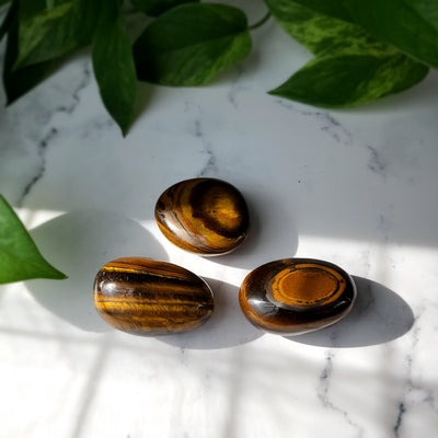 Tiger Eye Medium Palmstone
