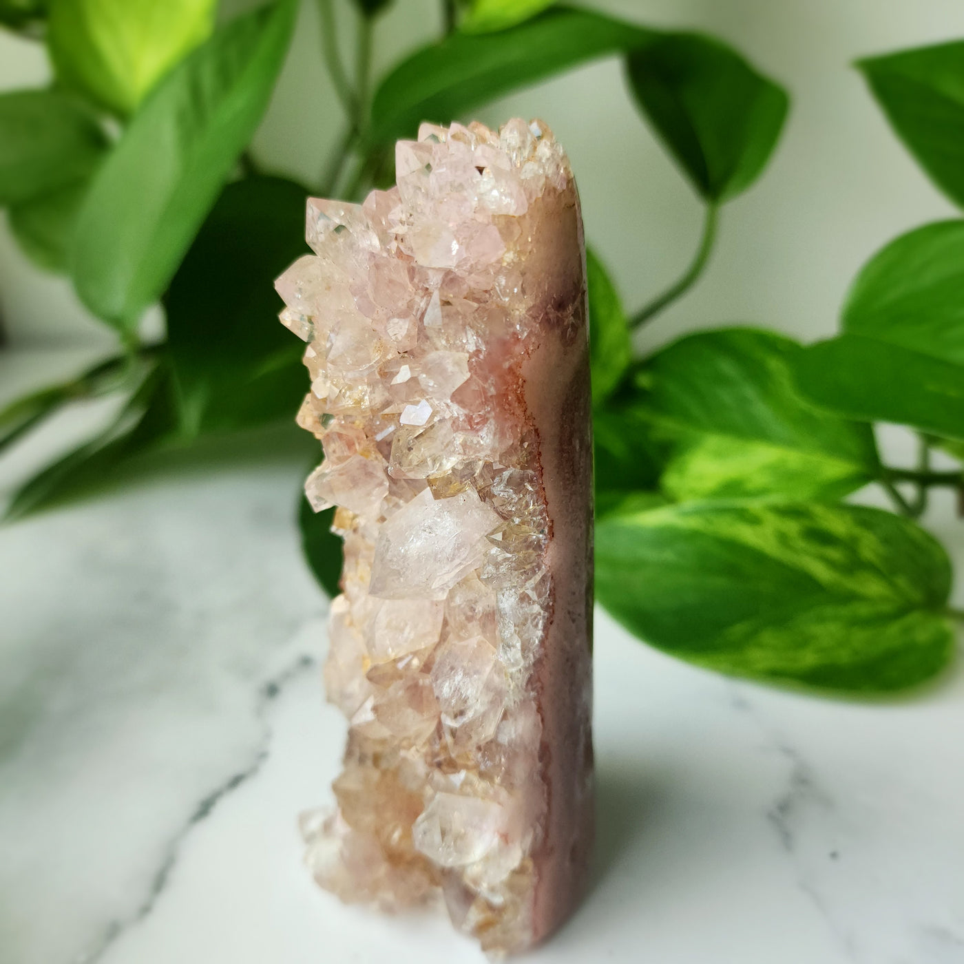 Pink Amethyst Freeform