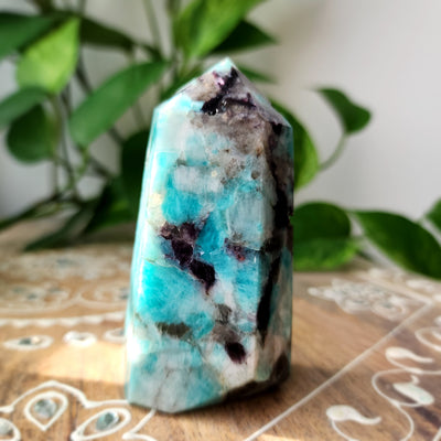Amazonite with Lepidolite, Smokey Quartz, Black Tourmaline & Mica Tower