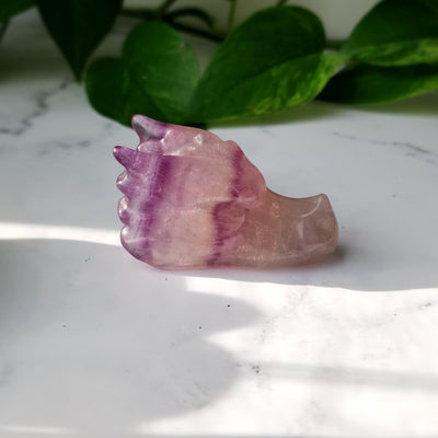 Magenta Fluorite Dragon